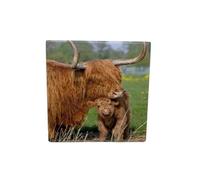 Milford Collection Ceramic Art Coaster 10x10cm Highland Cow Design - Cork Backed Non-Slip Drink Coaster Table Mat for Home Decor