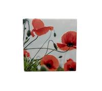 Milford Collection Ceramic Art Coaster 10x10cm Poppies Design - Cork Backed Non-Slip Drink Coaster Table Mat for Home Decor