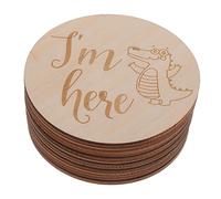 Milisten 1 Set Durable Wooden Monthly Milestone Cards Unisex Photo Props for Newborn Photography Disc Set for Birth Announcements and Memory Making