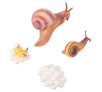 Milisten 1 Set Simulated Plastic Animal Models Life Growth Cycle Educational for Safe Non Toxic Figures for Early Learning and Creative Play for Farm and Science Education