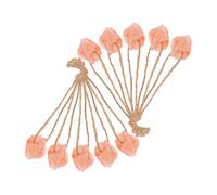 Milisten 10pcs Pink Salt Lick Blocks with Pre-drilled for Hanging Mineral-rich Nutrition for Deer Horses Cattle Alpacas and Livestock Supports Health and Vitality Outdoors