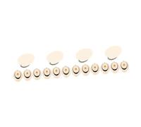 Milisten 16pcs Professional Erhu Pole Elbow Sturdy Bone Powder Easy Installation Chinese Erhu Parts