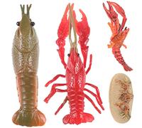Milisten 1Set Miniature Lobster Growth Model Educational for Realistic Lobster Life Cycle Figurine for Cognitive Learning Early Education