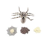 Milisten 1Set Simulation Animal Evolution Model Realistic Life Cycle Display for Educational Decor for Parties Insect Growth Cycle Ornaments for Imagination and Learning