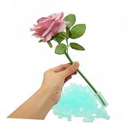 Milisten 200Pcs Flower Preservation Nutrition Tubes Light Green Short Growing Tubes for Florists Fresh Flower Supplies Essential for Arrangements and Bouquet Hydration