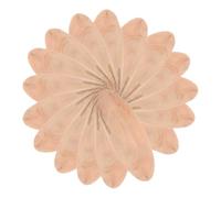 Milisten 20pcs Rustic Beige Wooden Slices for Crafts with Polished Surface Oval Driftwood Pieces for Aquarium Decoration and DIY Woodworking Projects