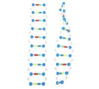 Milisten 2pcs Double Helix Structure Model Kit Dna Display Prop for Educational Purposes for High School University Biology Classes Enhances Student Engagement Comprehension Genetics
