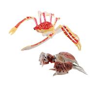 Milisten 2pcs Imitation Crab for Sea Creature Figurines for Educational Early Learning Stimulates Visual Perception and Creative Play Birthday Party Decoration and Ocean Exploration Tool