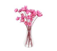 Milisten 2pcs Miniature Glass Flower Vase with Dried Eucalyptus and Potted Plants Transparent Sturdy Dollhouse Accessories for Creative DIY Crafting and Elegant Home Decor Display