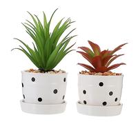 Milisten 2Pcs Nordic Style Artificial Bonsai Plants Simulation Agave Gladiolus Potted Decor for Home Aesthetic Durable Fake Plants for Long Term Use No Watering Needed