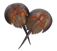 Milisten 2pcs Realistic Horseshoe Crab Figurine Plastic Creature for Educational Play Props Decoration Collectible Sea Life Models