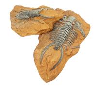 Milisten 2Pcs Resin Fossil Reptile Box Ornaments DIY Terrarium Decors for Lizards Spiders Hamsters No Burrs Safe Material Stain Resistant Pet Hideout