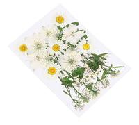 Milisten 36pcs Natural Dried Pressed Flowers Daisy Flowers for DIY Epoxy Resin Jewelry Making Nail Art White