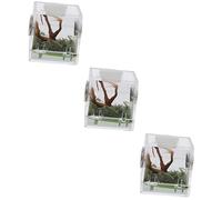 Milisten 3pcs Spider Breeding Box Acrylic Insect Habitat for Jumping Spiders Terrarium Fine Craftsmanship and Moisture Resistance for Reptile Owners and Pet Enthusiasts