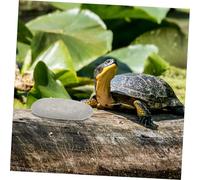 Milisten 3pcs Turtle Basking Platform Stone for Reptile Tank Accessories Flat Resting Stones Aquarium Landscaping Decor Natural Safe for Fresh and Salt Water Random Color