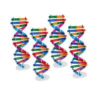 Milisten 4pcs Dna Double Helix Structure Model Kit Molecular Educational Tool for Students Accurate Human Gene Learning Aid Detailed Biology Teaching Supplies