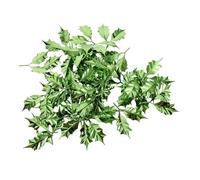 Milisten 50pcs Green Holly Leaves Plastic Decor for Christmas Crafts Festive Table Arrangements and Wreath Decorations for Holiday Parties and DIY Projects