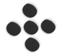 Milisten 5pcs Iron Powder for Magnet Science Education Physics Experiment Tools for School Projects Classroom Demonstrations Teaching Kit Enhancing Field Visualization and Student