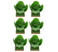 Milisten 6Pcs Realistic Veg Cabbage Models for DIY Sand Table Decor Educational Playthings to Stimulate Imagination and Creativity Micro Landscape for Boys