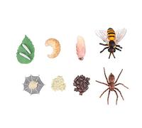 Milisten 8Pcs Bee Spider Life Cycle Simulation Model Educational Animal Display Figures for Parties Home Decor and Imaginative Play