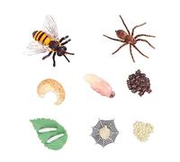 Milisten 8Pcs Insect Growth Models Realistic Bee Display for Educational Insect Life Cycle Figurines Safe Learning for Boys