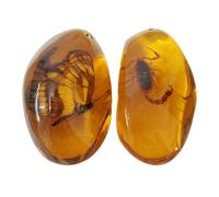 Milisten Amber Fossil with Insect Samples Stones Crystal Samples Home Accessories Collection Oval Pendant for Children (Random) 2 Pieces