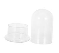 Milisten Clear Glass Terrarium Container Hydroponic Vase for Miniature Moss Gardens Water Based Plant Propagation Jar for Small Spaces Transparent DIY Ecological Glass Bottle