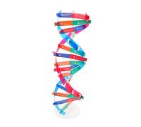 Milisten DNA Double Helix Model Educational Science Kit for Classroom Teaching Self-Assembling Biology Toys for Boys and Girls and Students Interactive Learning Tool for Science Projects
