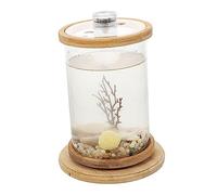Milisten Household Aquarium Tank Desktop Fish Aquarium Creative Eco Bottle with Tempered Glass Micro Landscape Jar Decorative Fish Bowl for Office Desk Decoration Modern Design with View An