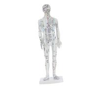 Milisten Human Body Acupuncture Model Male Acupoint Display for Chinese Medicine Training Precise Meridian Pressure Point Placement Professional Massage and Acupuncture Practice Tool