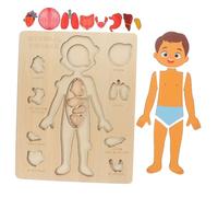 Milisten Human Organs Puzzle for Educational Anatomy Model with Realistic Details Interactive Body Parts Learning Aid for Classroom Teaching