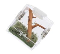 Milisten Jumping Spider Breeding Box Acrylic Enclosure Terrarium for Spider Care for Insect Habitat and Feeder Box Use