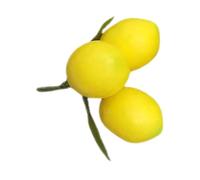 Milisten Lifelike Simulation Lemon Decoration Fake Fruit Prop for Party and Home Decor Realistic Citrus Design for Photography and DIY Crafts Safe Material for Lasting Use