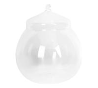 Milisten Micro Landscape Bottle Moss Terrarium with Lid, 15cm Glass Canister Container for Indoor DIY Plant Decor, Simple Plant Terrarium Holder Suitable for Home and Office Gardening Random Style