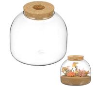 Milisten Micro Landscape Terrarium Glass Jar with Moss Plants and Small Fish Tank, Hydroponic Container with Perforated Wooden Stopper, Tabletop Eco Bottle for Indoor Gardening