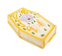 Milisten Plant Cell Model Anatomy Chart Biology Teaching Aid for School Accessory