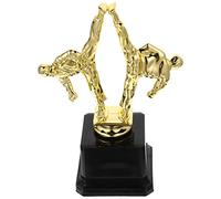 Milisten Taekwondo Trophy Award Cup for Competitions School Events and Talent Shows Decor with Martial Move Design for Celebrations and Recognition