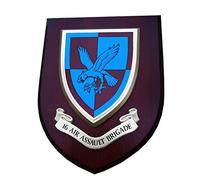 Military 16 Air Assault Parachute Wall Plaque