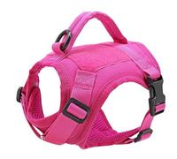 Military Tactical Durable Nylon Cat Harness Vest With Control Handle Military Tactical Cat Harness Cat Outdoor Small And Medium Dogs And Cats Training Walking Camping Harness,Rose