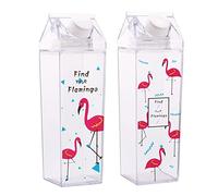 Milk Carton Water Bottle,2 Pack 500ML Portable Square Cute Clear Water Bottle with Screw Top,Summer Reusable Leak Proof Juice Drinking Bottle for Indoor Outdoor Activities,Travel,Camping (500ML B)