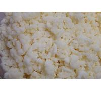 Milk Kefir Grains by Lifetime Kefir