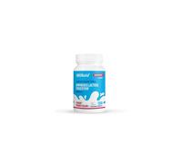 Milkaid Lactase Enzyme Chewable Tablets for Lactose Intolerance Relief | Prevents Gas, Bloating & Diarrhoea | Fast Acting Dairy Digestive Supplement