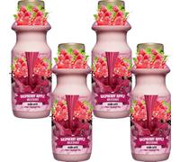 Milkshake - Chocolush, Vanillalicious & Raspberry Ripple 330ml - Creamy & Delicious Flavoured Drinks - Sknur (4 x Bottle, Raspberry Ripple)