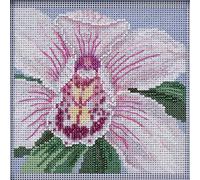 Mill Hill Buttons & Beads Counted Cross Stitch Kit 5"X5"-White Orchid (14 Count)