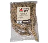 Millet Spray 1kg - Ultimate Deluxe Millet Spray Treat For Budgies Cockatiels Canaries Parrots Hamsters Rats Gerbils - Air-Dried Whole Sprays - High Energy, Easy to Digest - UK Packed - Seedzbox