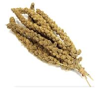 Millet Sprays 1kg Premium Cage Bird Food Seed