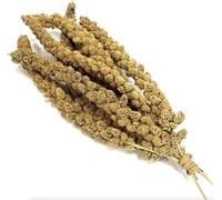 Millet Sprays 1kg Premium Cage Bird Food Seed