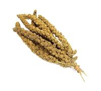 Millet Sprays 2kg (2 x 1kg Bags) Premium Cage Bird Food Seed
