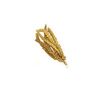 Millet Sprays 5kg (5 x 1kg Bags) Premium Cage Bird Food Seed