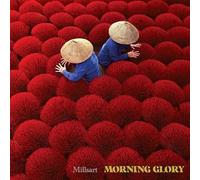 Morning Glory